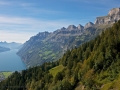 _d126135