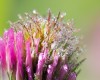 lau_01676869-ausw-b